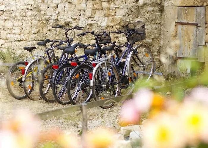 De Charme Avec Terrasse Et Activites Familiales A Payre, Pres De Fontenay-le-comte - Fr-1-426-170 Nyaraló